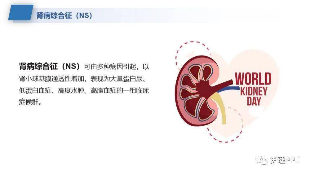 ppt肾病综合征的护理