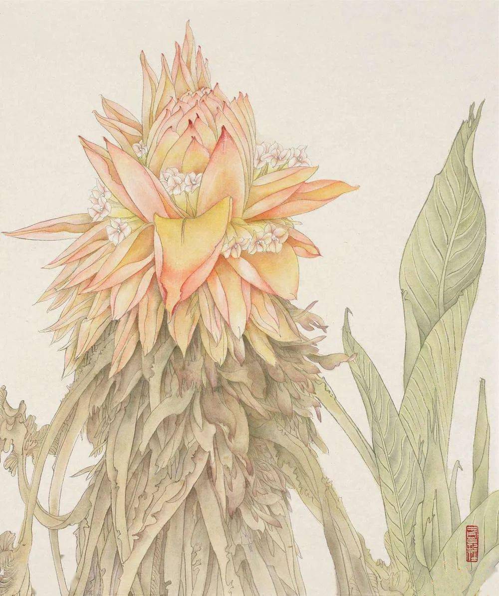 生宣画工笔|王磊的工笔新语言_当代_传统_作品