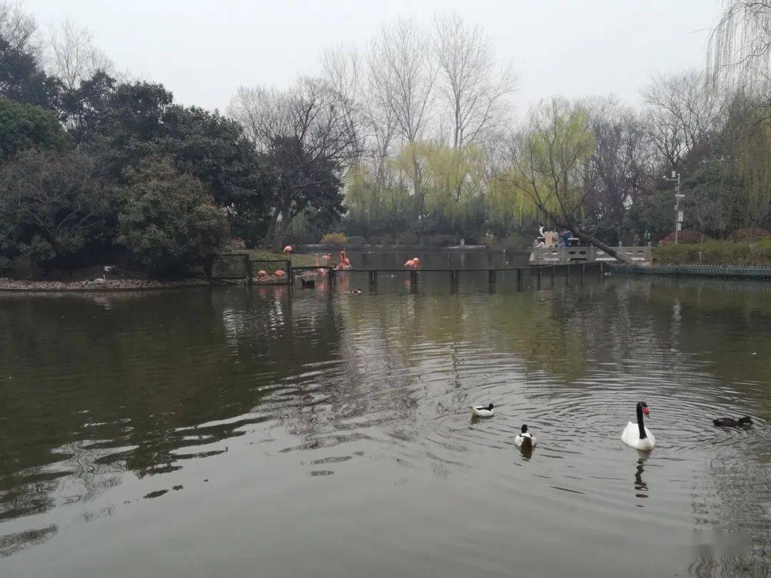 揚州是個好地方/闞立青_文化名城_歷史_運河