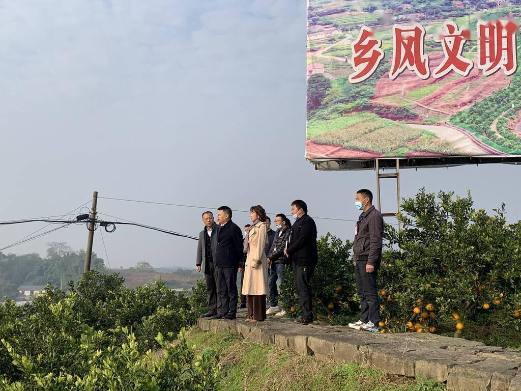 大安区:挖掘潜力 因地制宜发展产业_邹勇_工作_新店镇