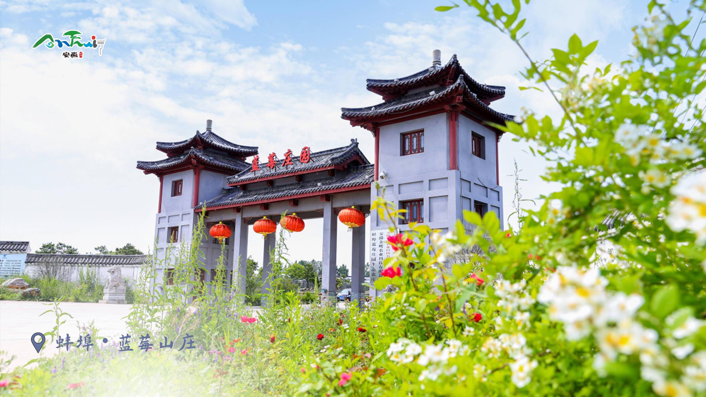 蚌埠·蓝莓山庄_杨晓君_蚌埠_山庄
