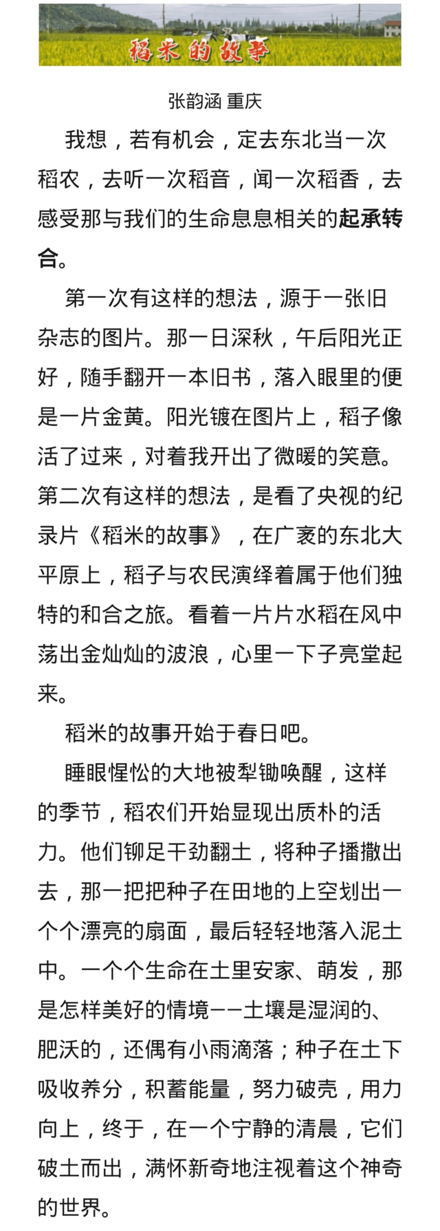 国家级一等奖作文 稻米的故事 充满蓬勃的力量 读来荡气回肠 文章 水稻 题材