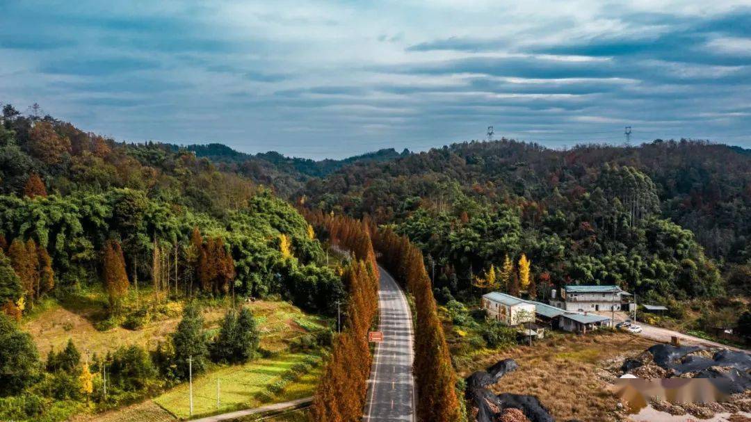 崇州六顶山风景区图片