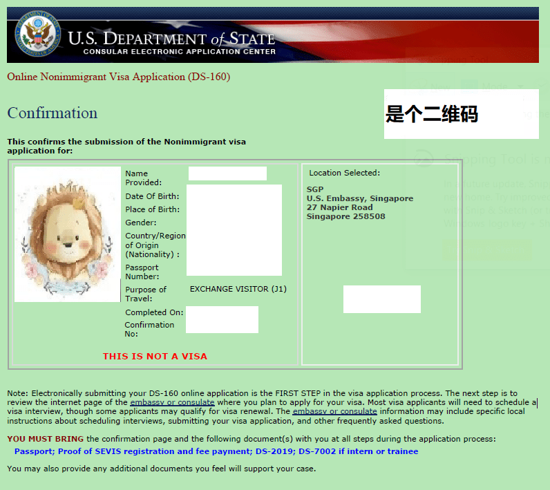 美国签证样本图片