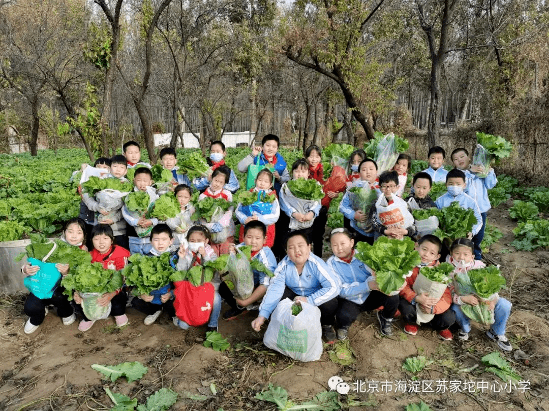 现代教育|乡村观教 | 乡土情怀课程实施效果与反思