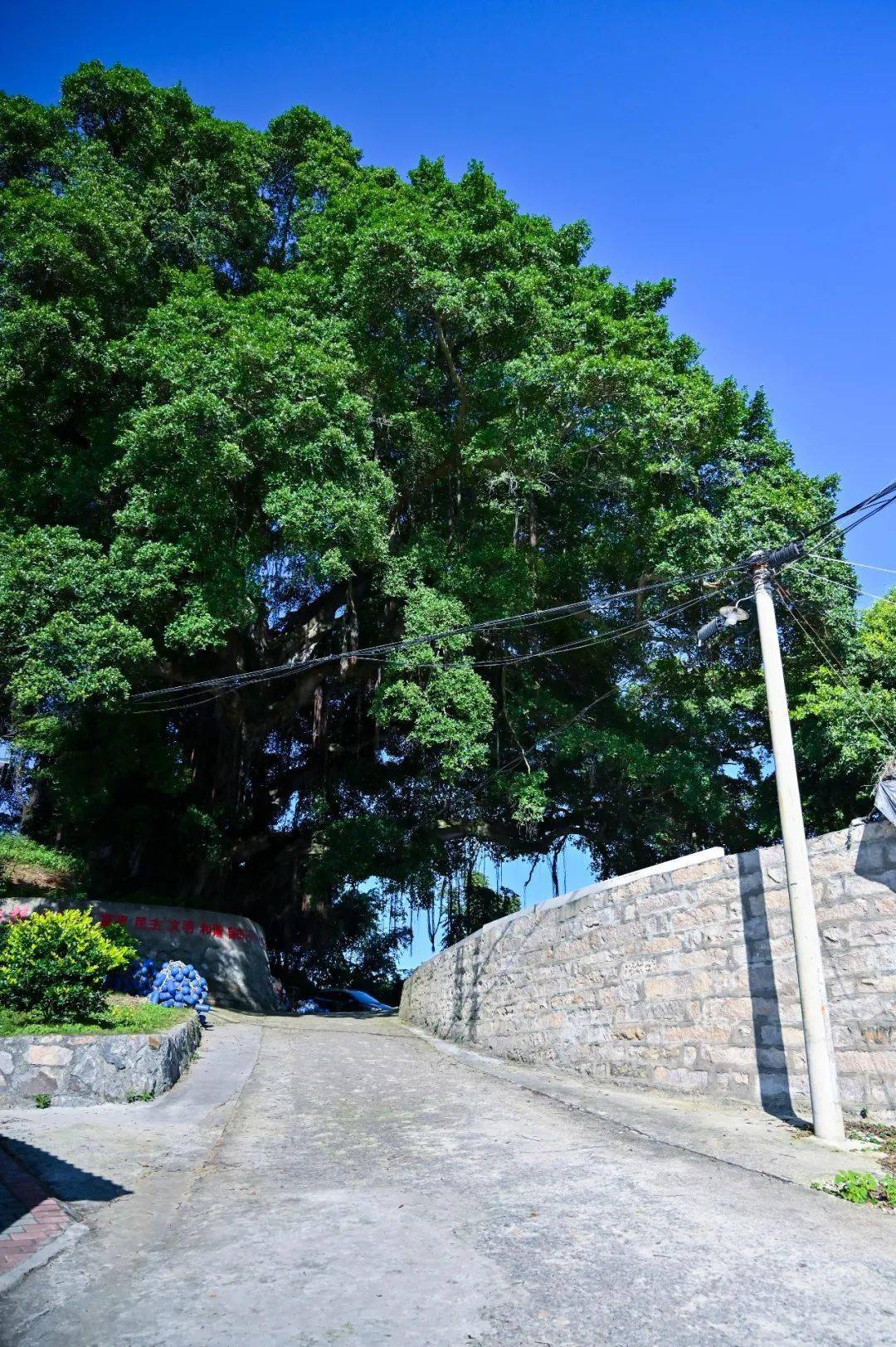 这里是下白石丨藟尾村,专属于福安的天涯海角!