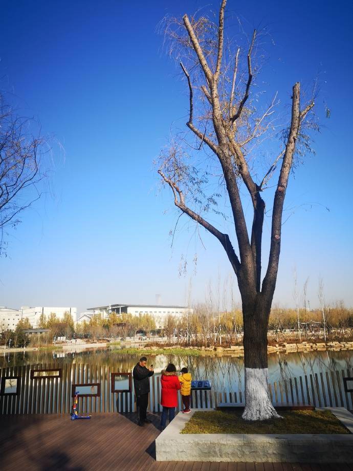 龙潭三湖连城一片的公园