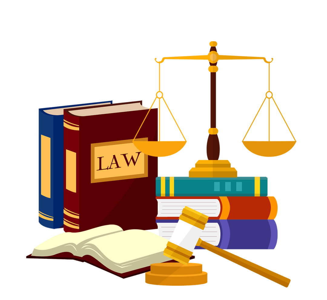 国家宪法日 | 一则动画看懂宪法_国家宪法日_法律_保护