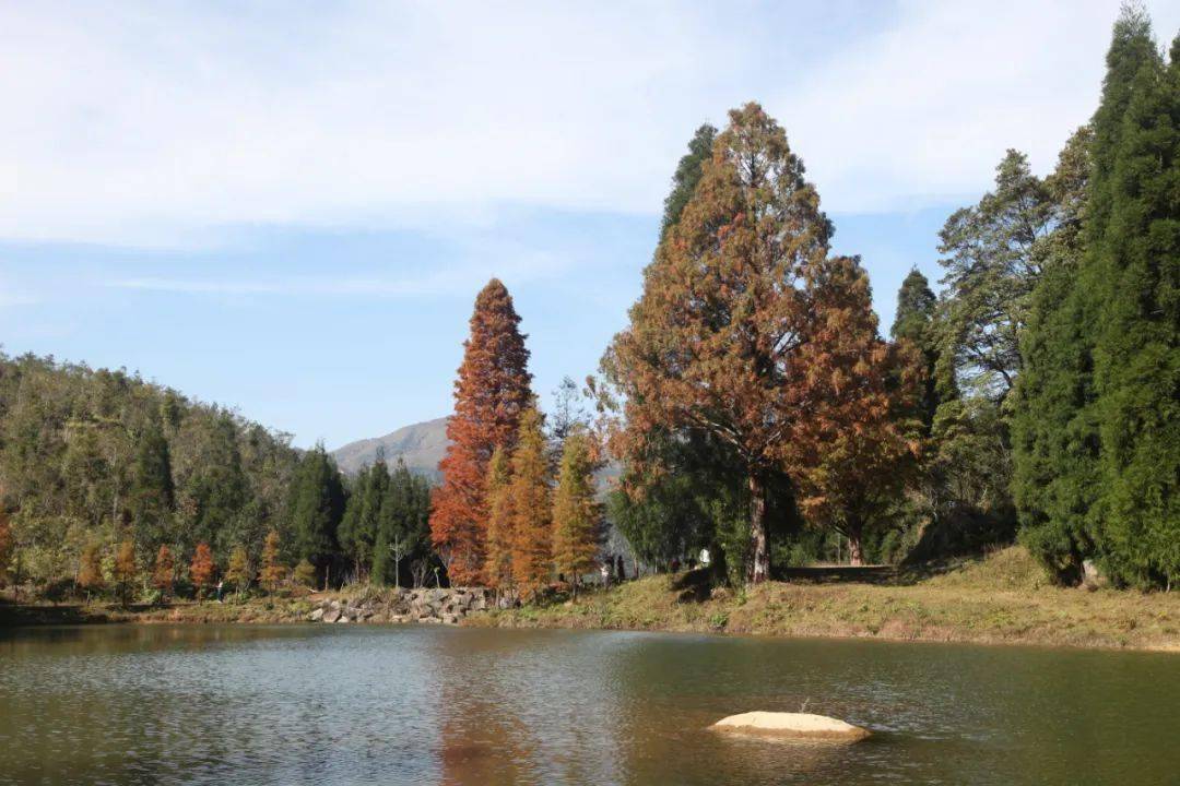 信宜网红景点鹿湖顶游人如织塞车严重昨天上山道路上又加锁了