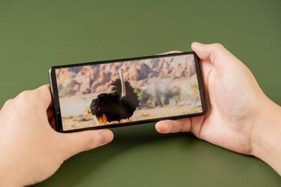 Pro-I|微单手机索尼Xperia PRO-I评测：年度最硬核影像旗舰