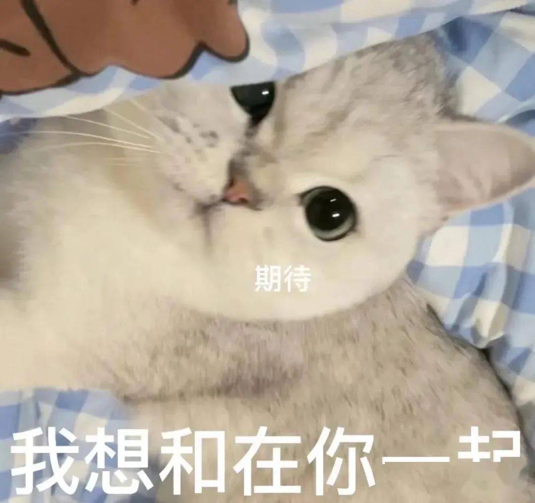 今日份沙雕搞笑表情包