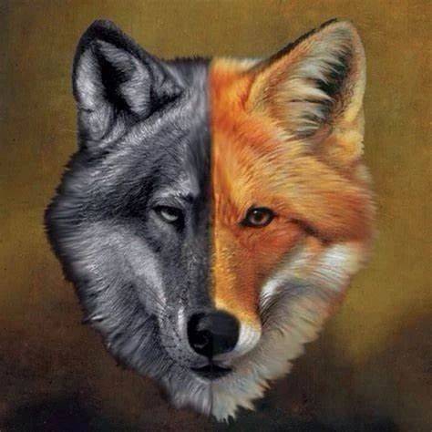 f0f2740abb5b4d8c92ca200c5efed5