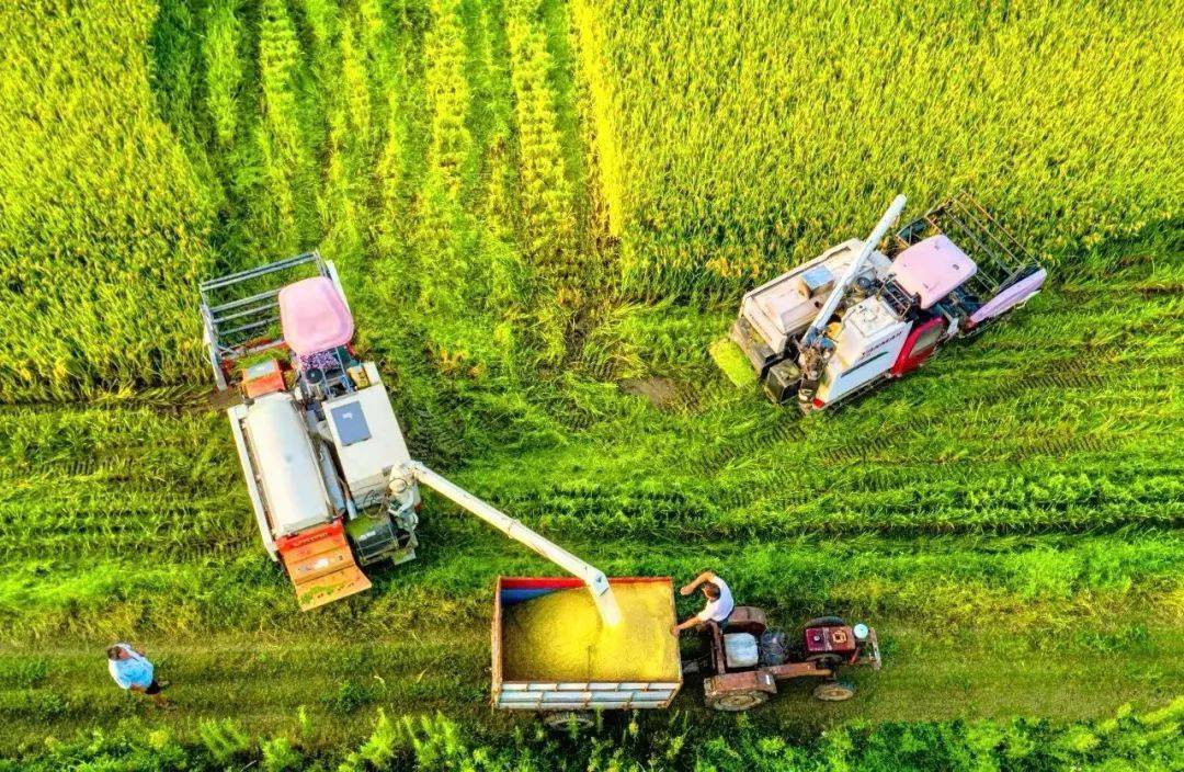 农业农村部部署加快推进农产品初加工机械化工作