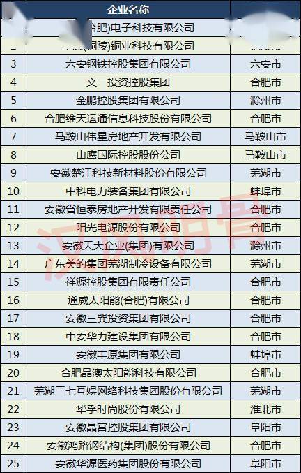 安徽华源医药集团股份有限公司排名第25位,滁州隆基乐叶光伏科技有限