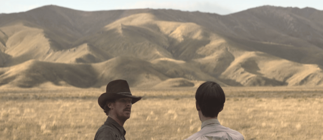 角色|颁奖季！深柜之死，是一场温柔的诱杀