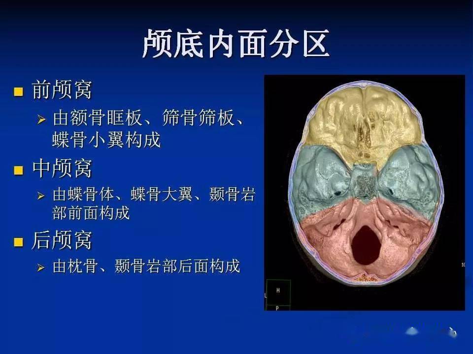 实用,详细的颅底各孔道影像解剖!_结构_动脉_神经