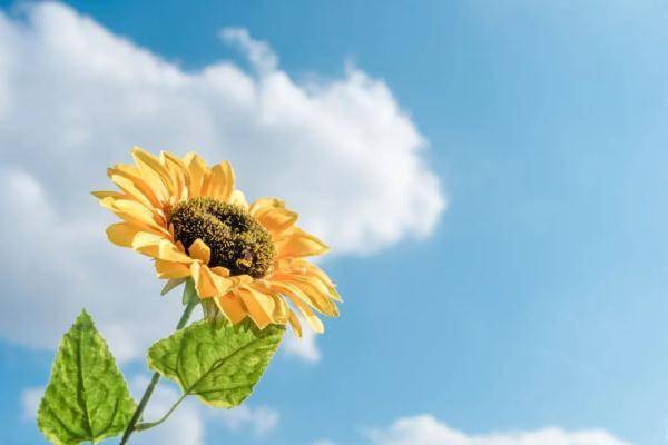 中国|“一清二白三好四不”，健健康康活到老！