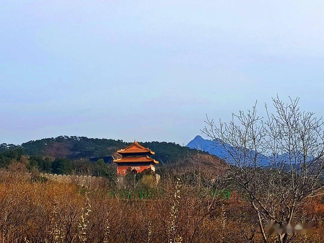 萬貴妃生在諸城哪村陵墓在北京何處