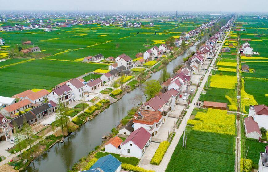 你见过苏北的农村吗?