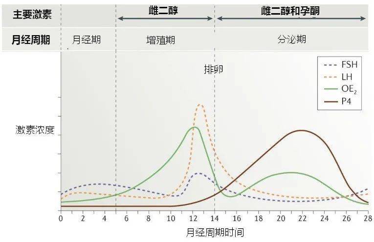 性激素六项报告单图片