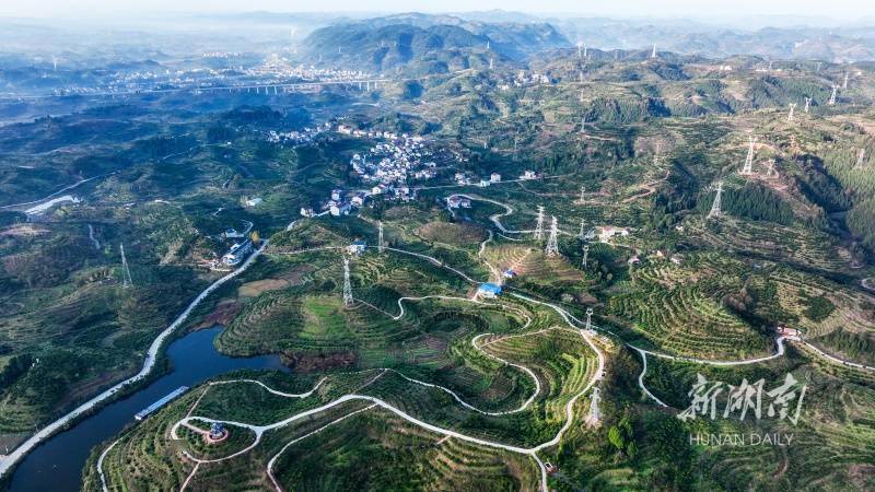 蜿蜒"产业路"铺就新生活_乡村_滕树明_岩门镇