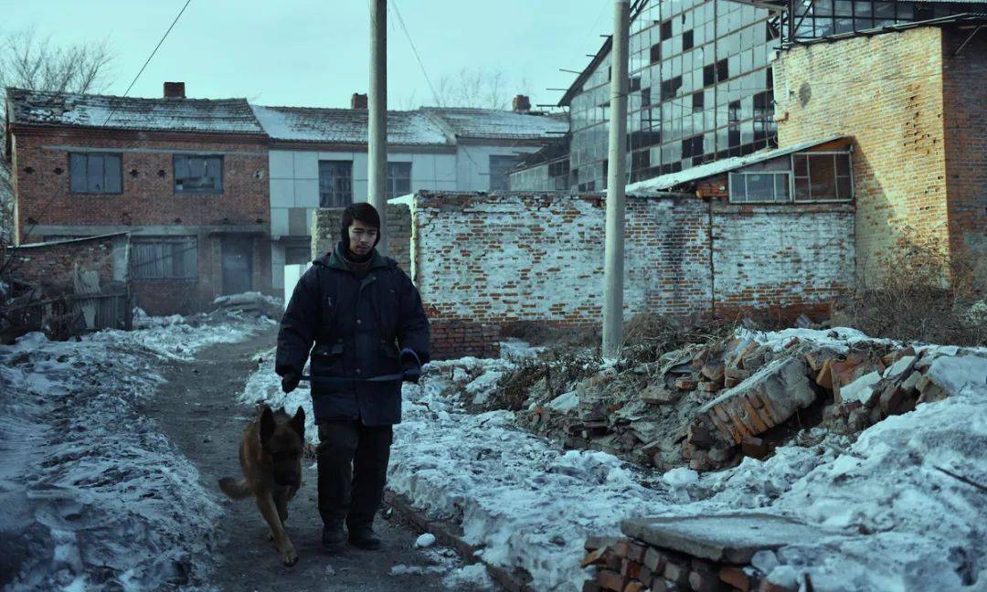 青年|虽没法部部大卖，但这些新锐导演的作品不该被埋没