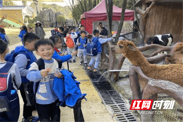 动物|亲近自然 放飞心灵——湖南第一师范学院斑马湖小学开展研学活动