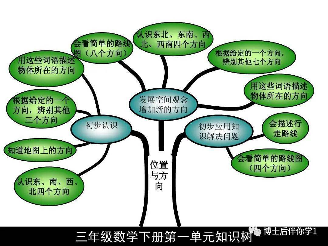 博士后伴你学 三年级下册数学知识树