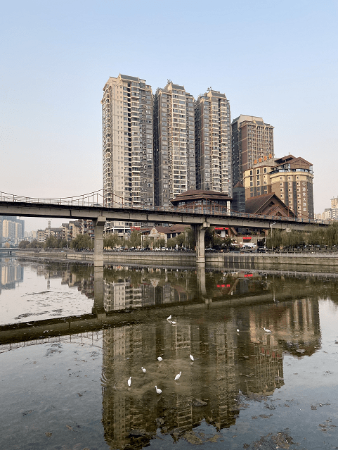 【百姓发布台】今早 都匀的天空太美! 剑江河边白鹭飞.