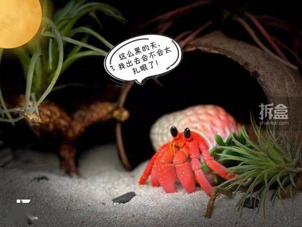 动物园|麓野文化 x 大怪动物园 草莓寄居蟹 仿真动物模型GK
