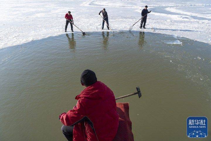 蔡湘鑫|过于硬气！大雪节气“泳”者无畏