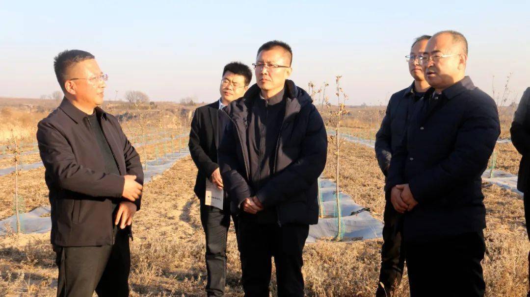 杨小虎调研指导巩固拓展脱贫攻坚成果同乡村振兴有效衔接工作_石山村