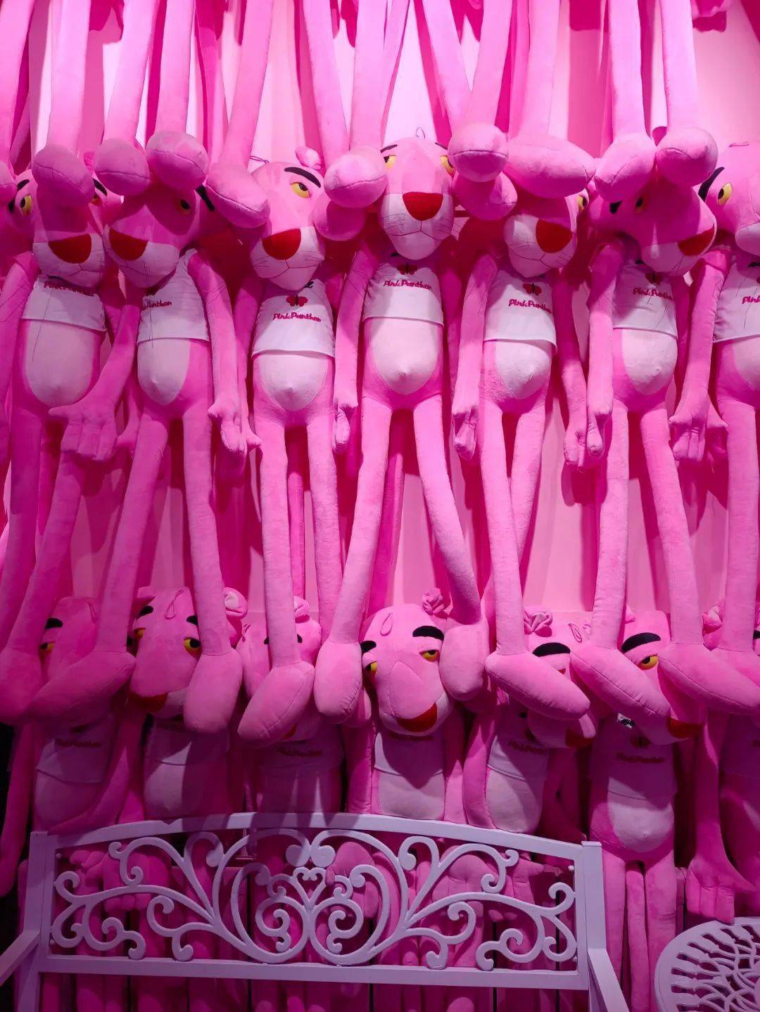 捕光逐影粉红世界总第2271期