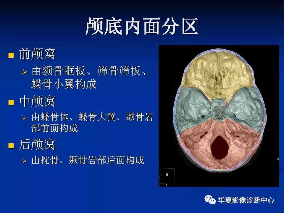 实用、详细的颅底各孔道影像解剖_结构_动脉_神经