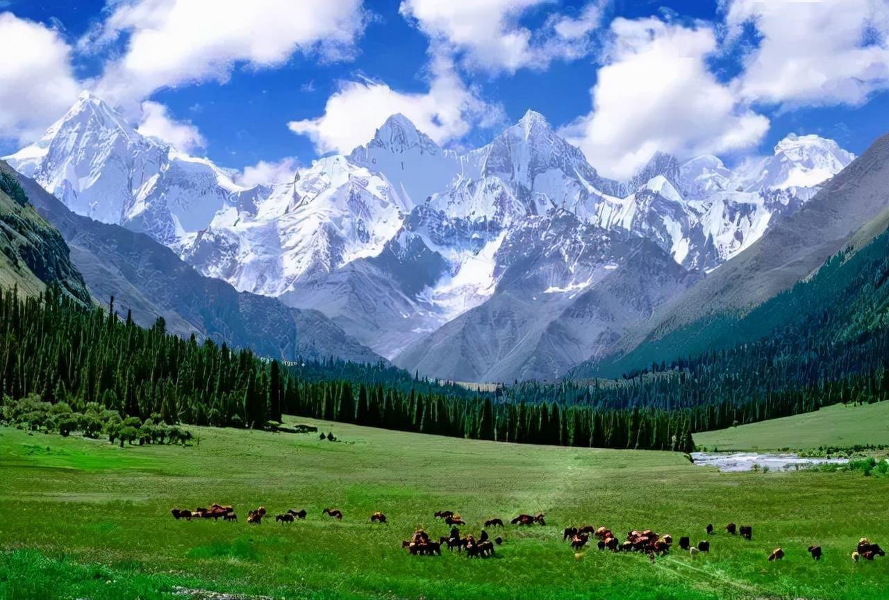 新疆极致美景图片图片