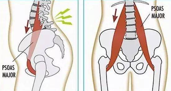 练瑜伽,如何有效放松你的腰肌?这套动作超级好用!