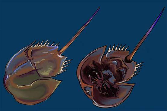 蓝色血管 075dd3dbd1c3490583bf704edc486440.jpeg