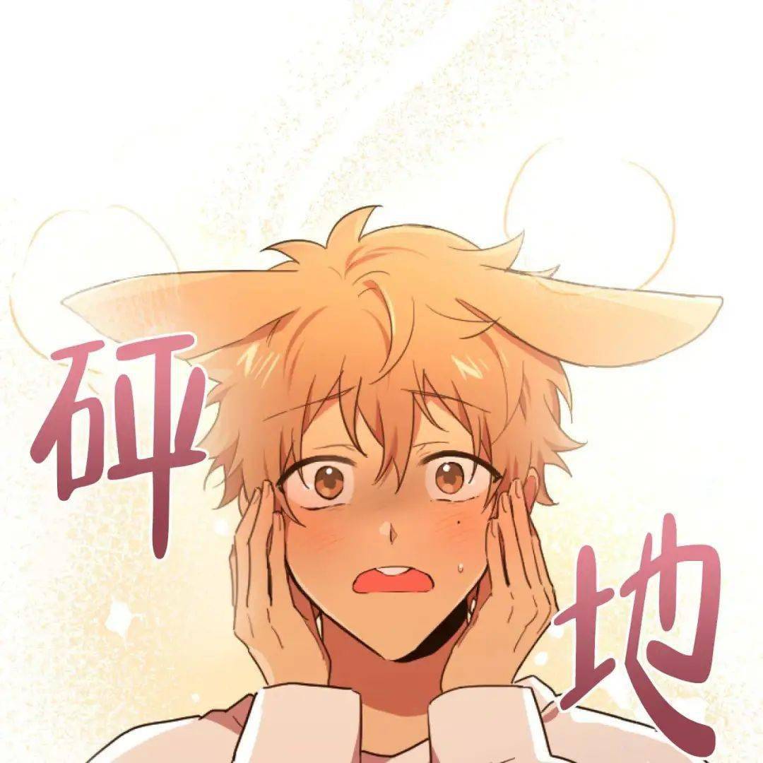 兔子受人h又羞又野我们生个可爱小兔子吧