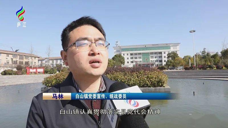 白山镇农旅融合打造环巢湖生态旅游镇