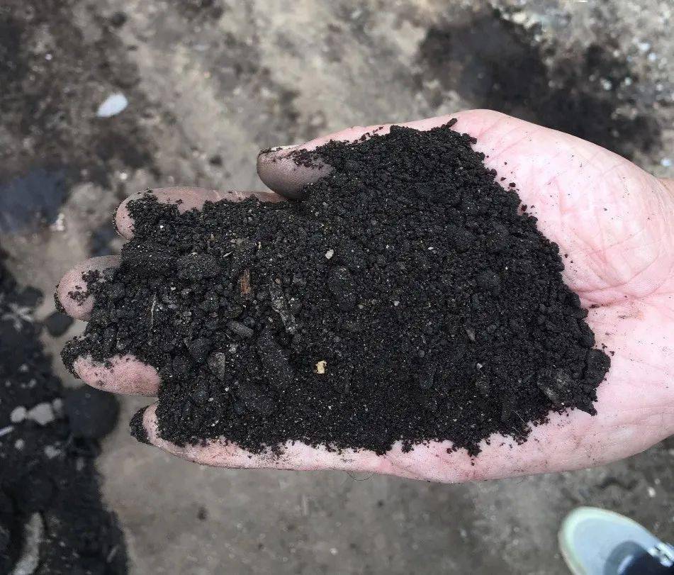 肥料的颜色逐渐加深,最终形成黑色粉末,状如泥土,闻起来也没有异味,有