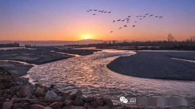 713eca56288d4859b068674192c2b51d.jpeg