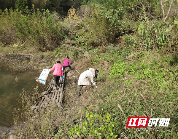 双牌县|双牌：强化水环境治理 守护一江碧水