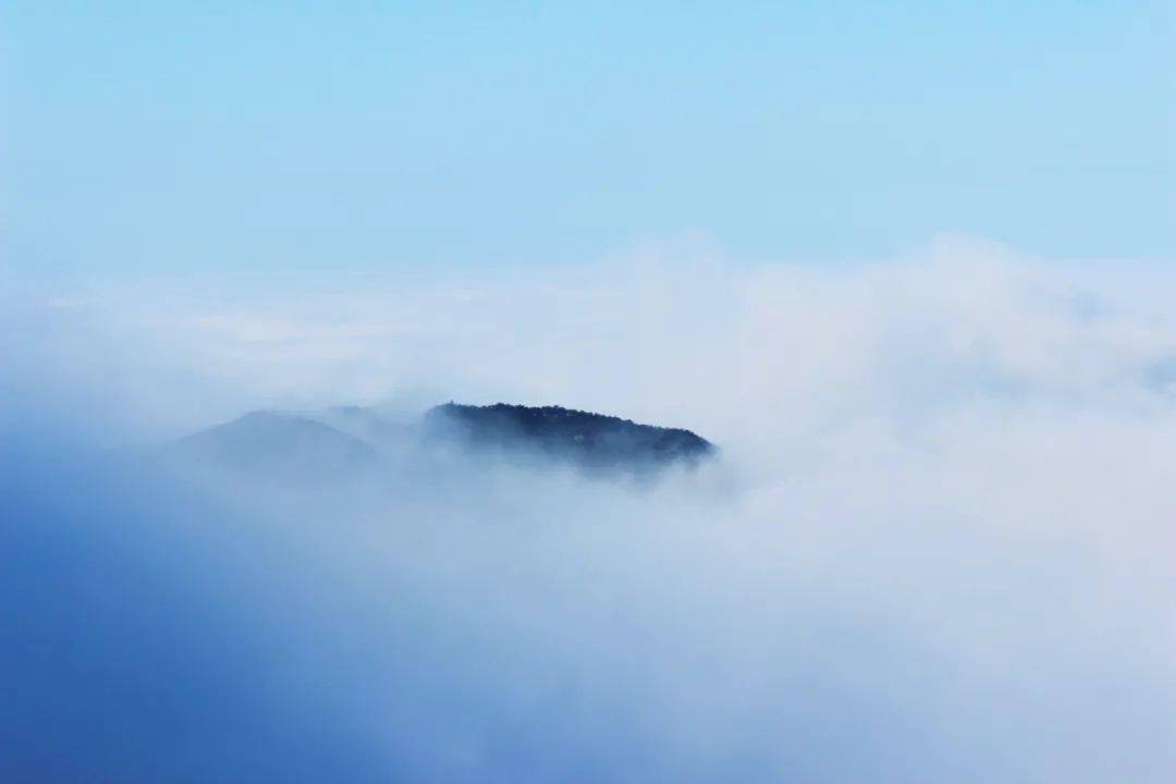 为君唤雪梅花天,握手一笑三千年 诗词赏析_白云_李紫_王冕