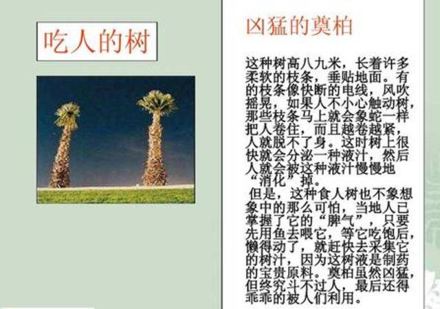c71998dbd73e4d388376b3f0721a4d78.jpeg