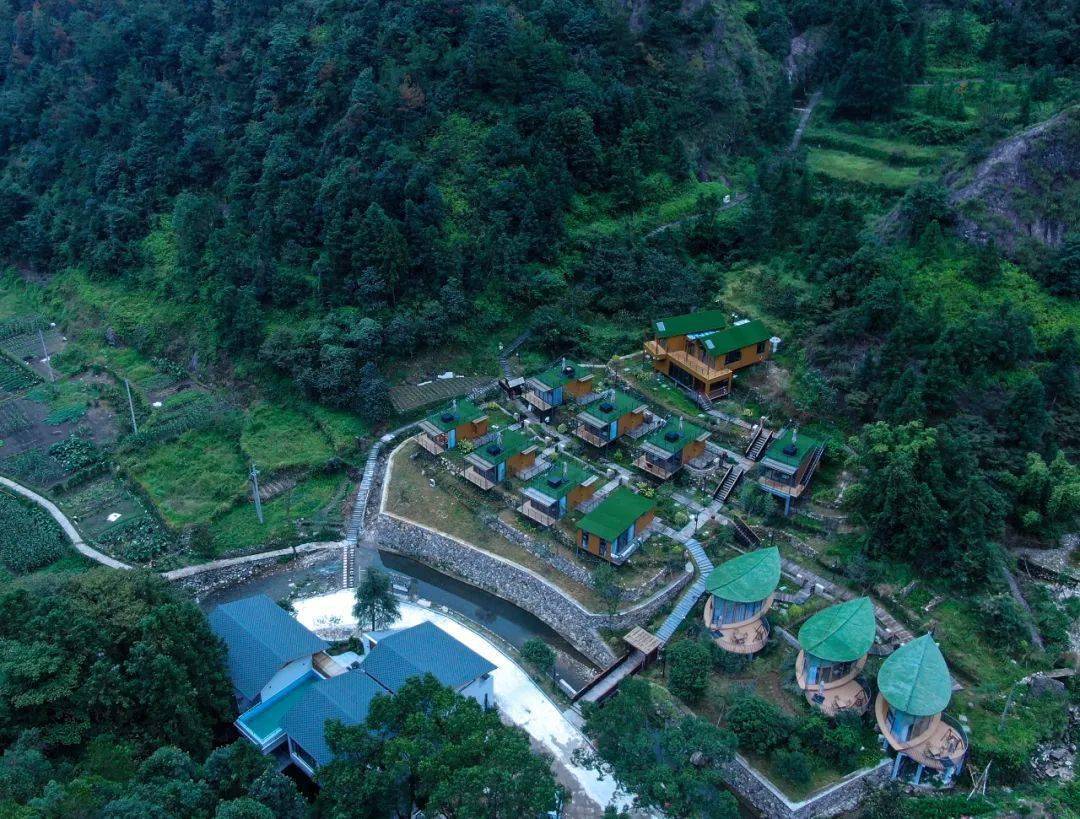 提高生活含氧量温州本土冬日康养胜地沉浸式森林酒店分分钟随手出大片