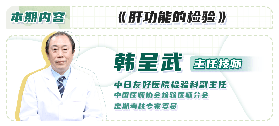 蛋白|肝功能检查中蛋白、胆红素、胆汁酸的变化，可能提示什么？（二）