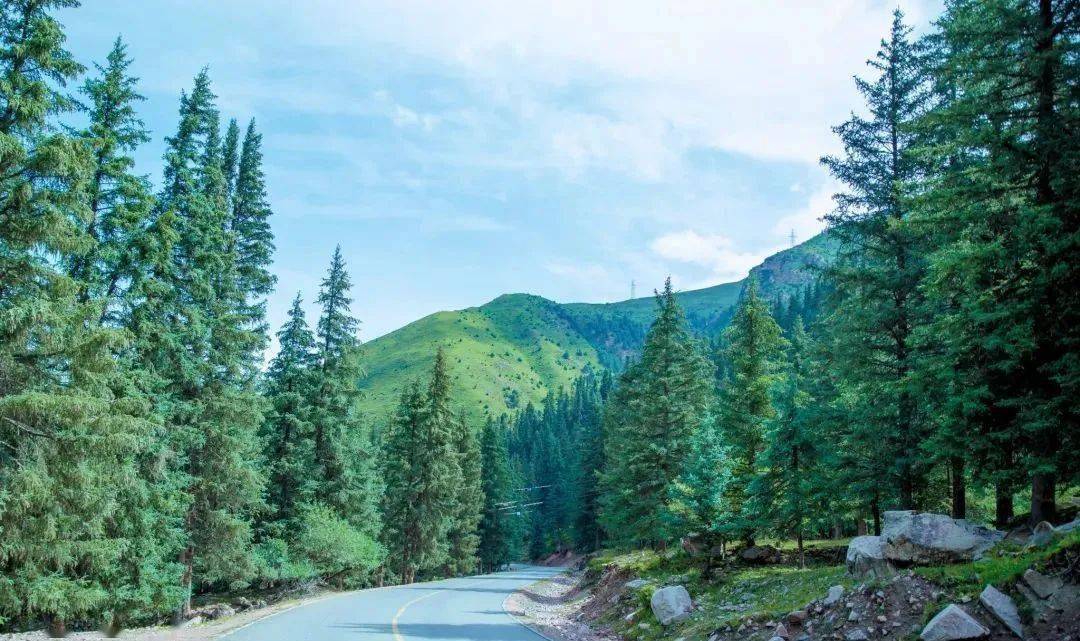 默默无闻的冰沟林海承载了祁连的传奇