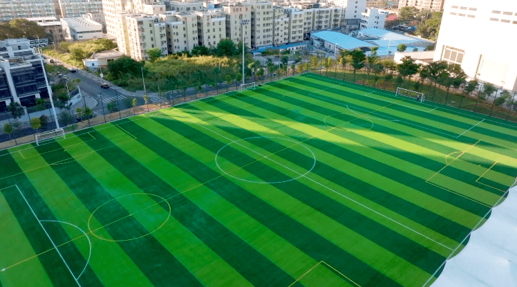 好消息龙华九龙山体育公园来了1月7日正式开馆