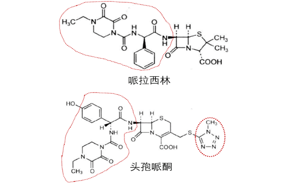 哌拉西林他唑巴坦和头孢哌酮舒巴坦之间的区别