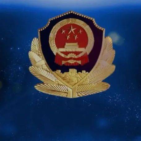 公安部党委：认真学习贯彻习近平总书记重要讲话精神_工作_执法_法治